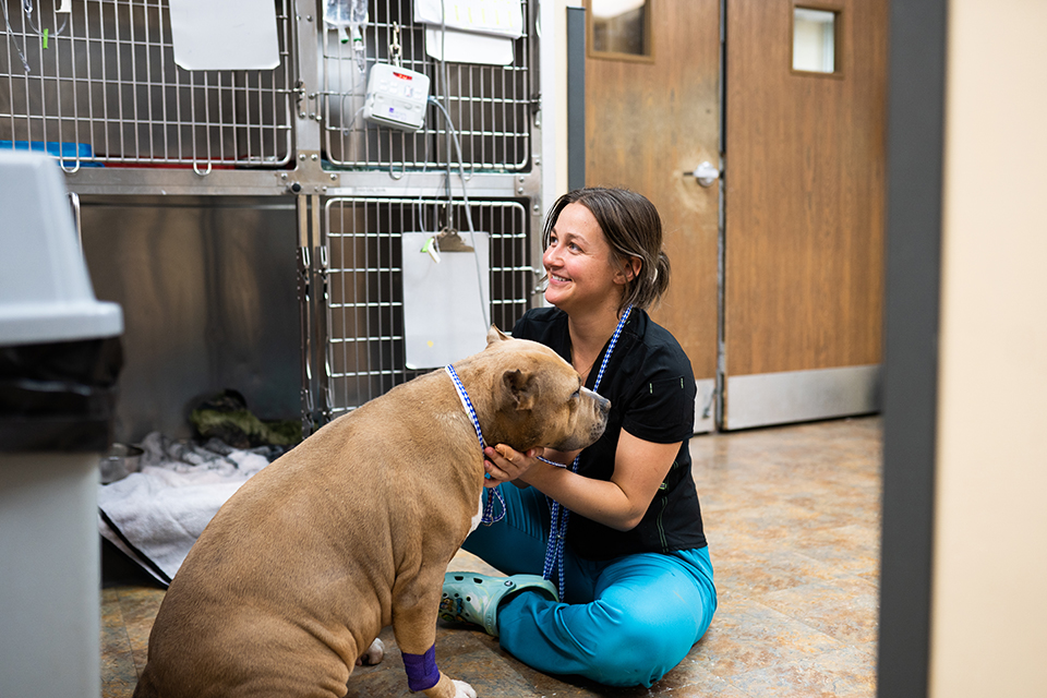 Wilson staff member helping patient