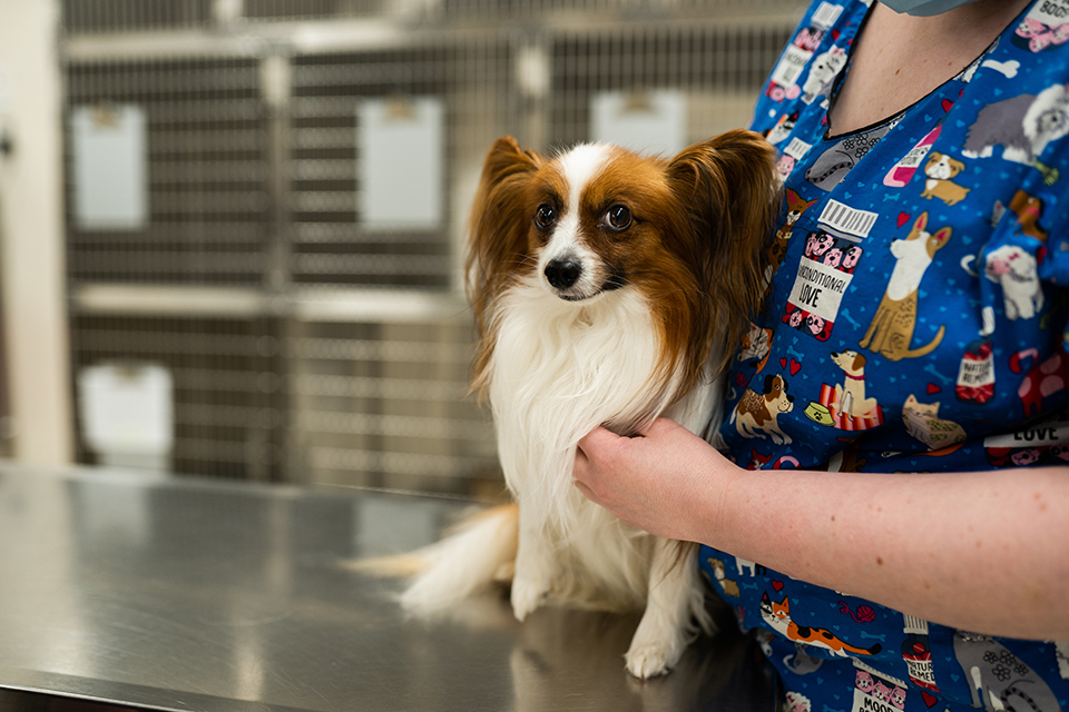 Wilson staff helping patient